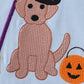 Blue halloween witch dog embroidery girl set