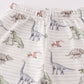 Dinosaur print boy pajamas set